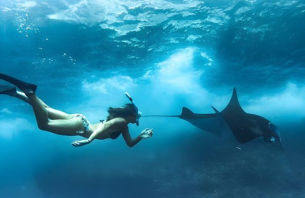 Manta Point Nusa Penida
